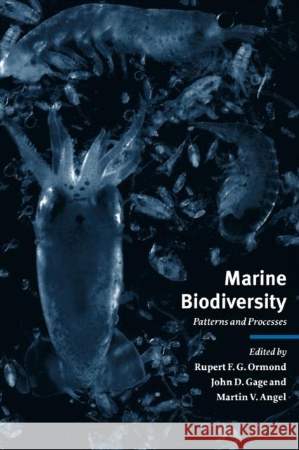 Marine Biodiversity: Patterns and Processes Ormond, Rupert F. G. 9780521022651 Cambridge University Press - książka