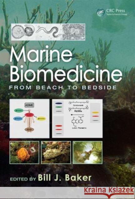 Marine Biomedicine: From Beach to Bedside Bill J. Baker 9781466582125 CRC Press - książka