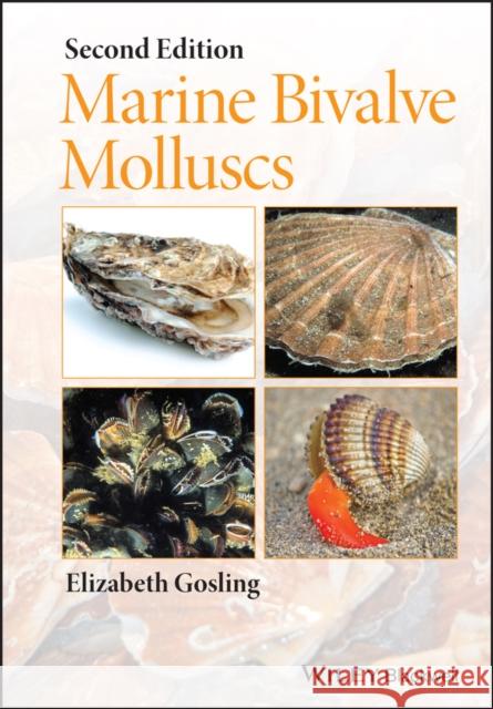 Marine Bivalve Molluscs Gosling, Elizabeth 9780470674949 John Wiley & Sons - książka