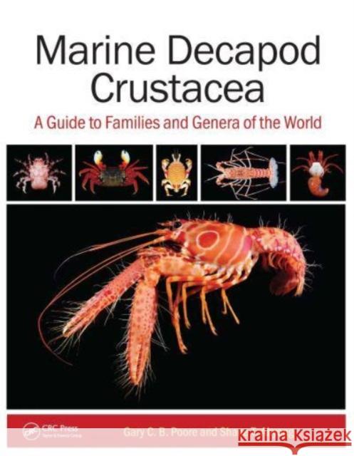 Marine Decapod Crustacea: A Guide to Families and Genera of the World Gary C. B. Poore Shane T. Ahyong 9781032138022 CRC Press - książka