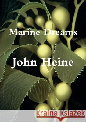 Marine Dreams John Heine 9781105627705 Lulu.com - książka