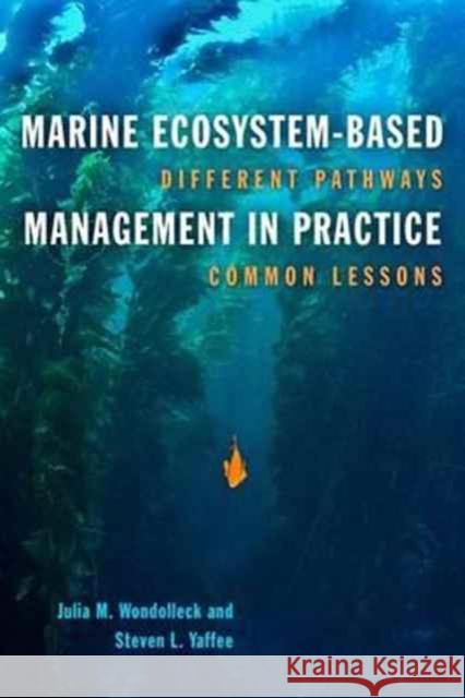 Marine Ecosystem-Based Management in Practice: Different Pathways, Common Lessons Julia M. Wondolleck Steven Lewis Yaffee 9781610917988 Island Press - książka