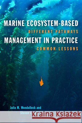 Marine Ecosystem-Based Management in Practice: Different Pathways, Common Lessons Julia M Wondolleck, Steven Lewis  Yaffee 9781610917995 Island Press - książka