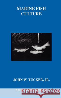 Marine Fish Culture John Tucker 9780412071515 Kluwer Academic Publishers - książka