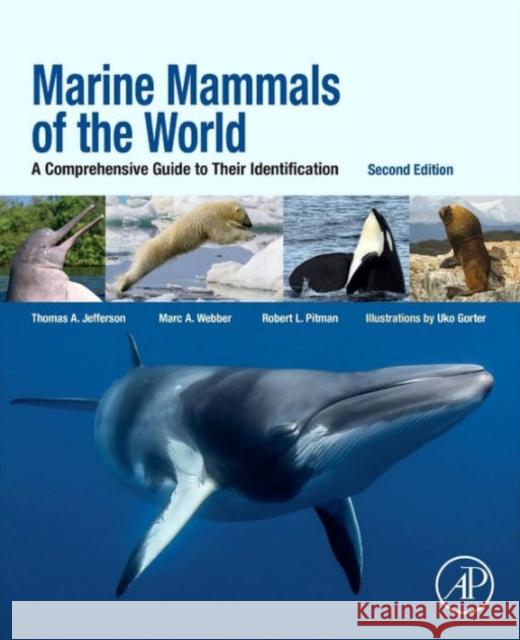 Marine Mammals of the World: A Comprehensive Guide to Their Identification Webber, Marc A. 9780124095427 Elsevier Science - książka