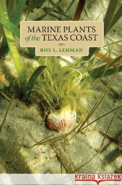 Marine Plants of the Texas Coast Roy L. Lehman Larry McKinney 9781623490164 Texas A&M University Press - książka