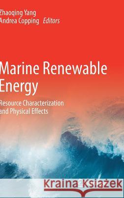 Marine Renewable Energy: Resource Characterization and Physical Effects Yang, Zhaoqing 9783319535340 Springer - książka