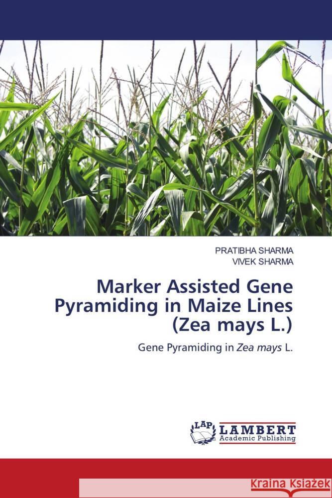 Marker Assisted Gene Pyramiding in Maize Lines (Zea mays L.) Sharma, Pratibha, Sharma, Vivek 9786203930726 LAP Lambert Academic Publishing - książka