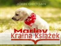 Marley a já John Grogan 8595693407424 Tympanum - książka