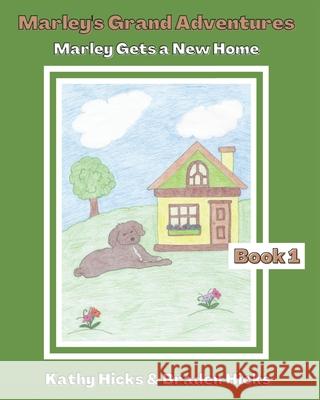 Marley's Grand Adventures: Marley Gets a New Home Braden Hicks Kathy Hicks 9780578593296 Believing His Word Ministries - książka