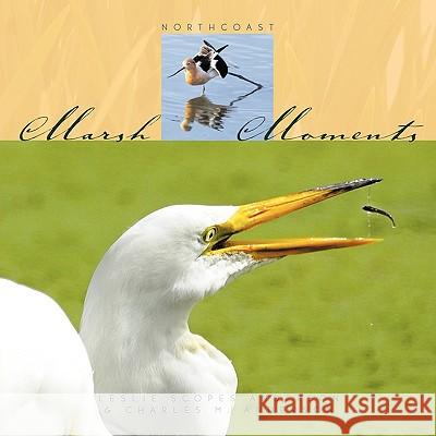 Marsh Moments: Northcoast Leslie Scopes Anderson 9781438974774 Authorhouse - książka