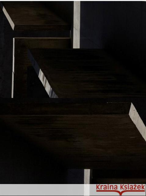 Martien Mulder: Interval Martien Mulder 9781947359086 August Editions - książka