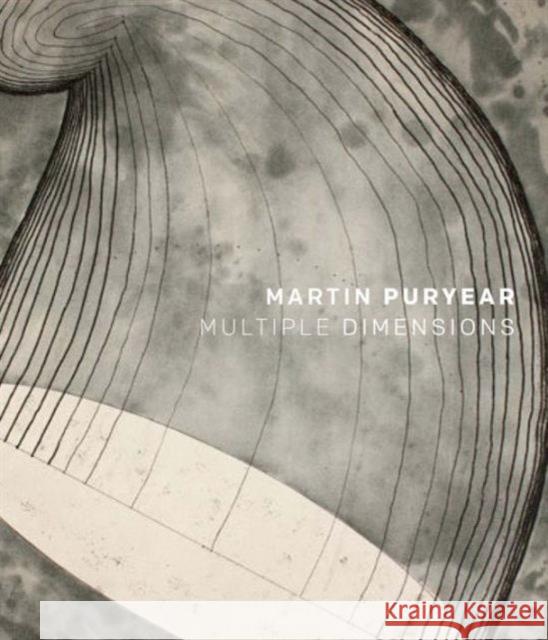 Martin Puryear: Multiple Dimensions Pascale, Mark; Fine, Ruth 9780300184549 John Wiley & Sons - książka