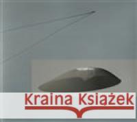 Martin Zet: Star /ang./ Miroslav Olšovský 9788070101766 Galerie hl. města Prahy - książka