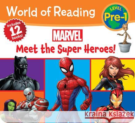 Marvel Meet the Super Heroes! Marvel Press Book Group                  Marvel Press Artist 9781368008525 Marvel Press - książka