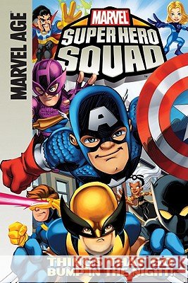 Marvel Super Hero Squad Todd Dezago Marcelo Dichiara 9781599618623 Spotlight - książka