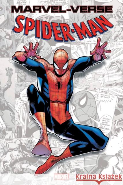 Marvel-Verse: Spider-Man Paul Jenkins Stan Lee Steve Ditko 9781302932152 Marvel Comics - książka