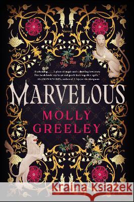 Marvelous: A Novel of Wonder and Romance in the French Royal Court Molly Greeley 9780063244108 William Morrow & Company - książka