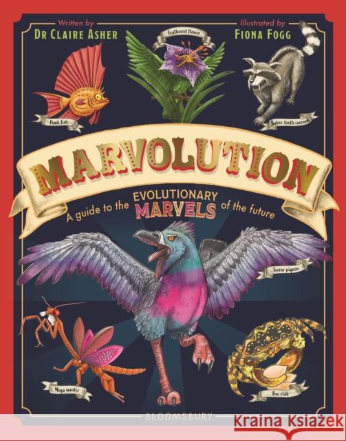 Marvolution: A Guide to the Evolutionary Marvels of the Future Dr Claire Asher 9781526671264 Bloomsbury Publishing PLC - książka