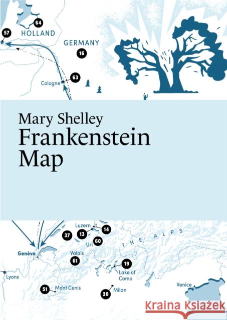 Mary Shelley, Frankenstein Map Martin, Master of Fine Arts Thelander 9789152721766 Paris Grafik - książka