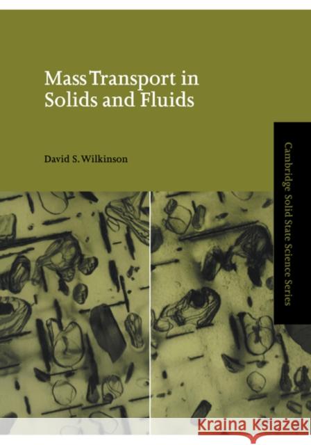 Mass Transport in Solids and Fluids David S. Wilkinson 9780521624947 CAMBRIDGE UNIVERSITY PRESS - książka