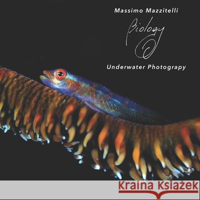 Massimo Mazzitelli - Underwater Photograpy Massimo Mazzitelli 9781673601206 Independently Published - książka
