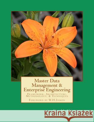 Master Data Management & Enterprise Engineering Dr M. Naoulo 9781475251142 Createspace - książka