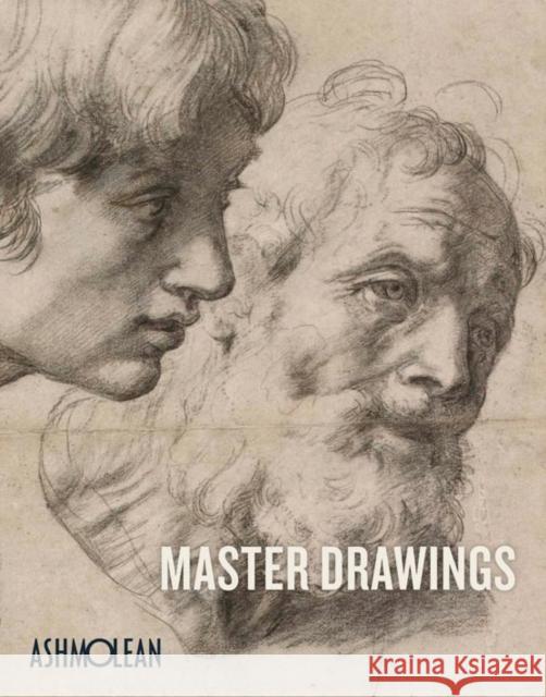 Master Drawings : Michelangelo to Moore Jon Whiteley 9781854442789  - książka