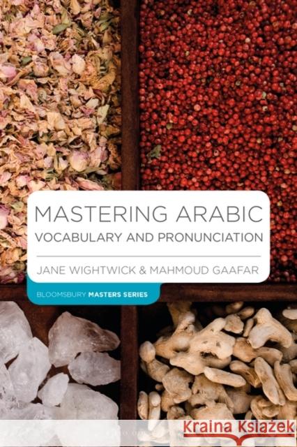 Mastering Arabic Vocabulary and Pronunciation Jane Wightwick Mahmoud Gaafar 9781352002256 Bloomsbury Publishing PLC - książka