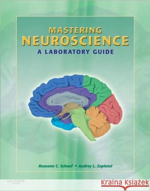 Mastering Neuroscience: A Laboratory Guide Schaaf, Roseann Cianciulli 9781416062226 Saunders Book Company - książka