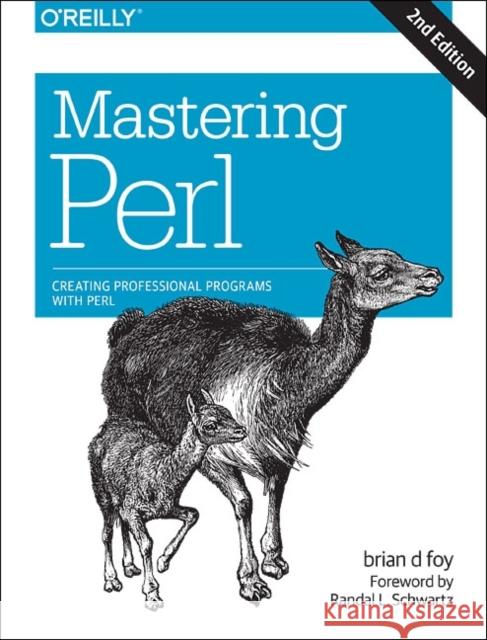 Mastering Perl: Creating Professional Programs with Perl Foy, Brian D. 9781449393113 O'Reilly Media - książka