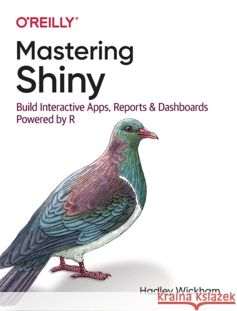 Mastering Shiny: Build Interactive Apps, Reports, and Dashboards Powered by R Hadley Wickham 9781492047384 O'Reilly Media - książka