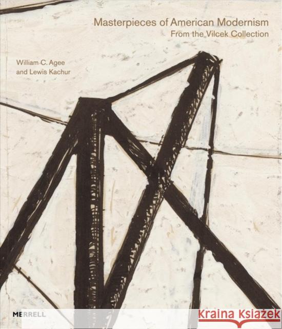 Masterpieces of American Modernism: From the Vilcek Collection Kachur, Lewis 9781858945958  - książka