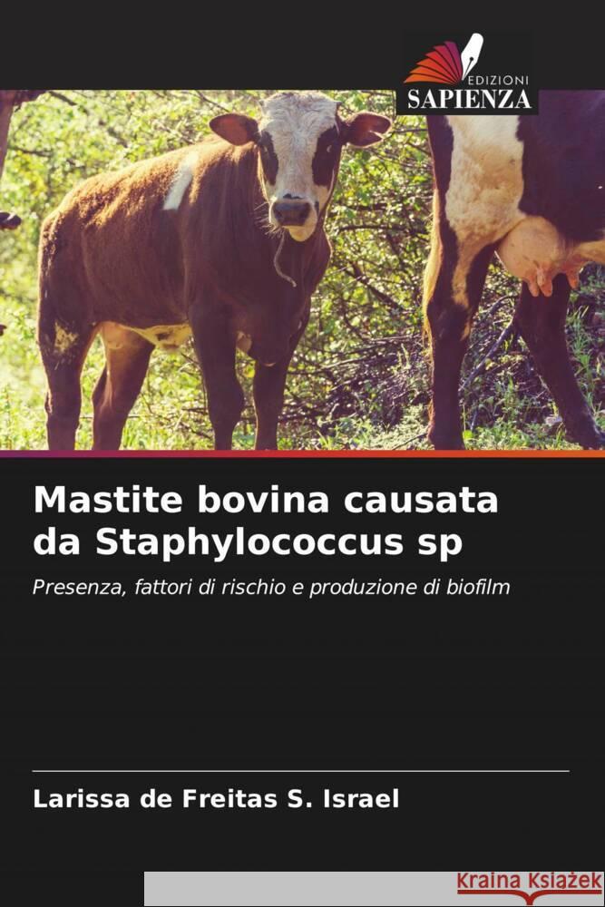 Mastite bovina causata da Staphylococcus sp de Freitas S. Israel, Larissa 9786206441175 Edizioni Sapienza - książka
