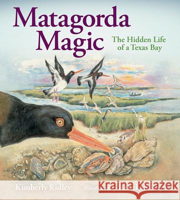 Matagorda Magic: The Hidden Life of a Texas Bay Rebekah Raye 9781648431319 Texas A&M University Press - książka