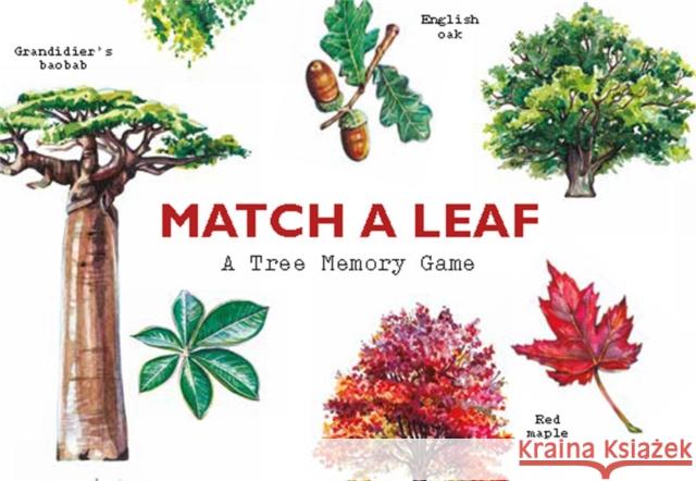 Match a Leaf : A Tree Memory Game Kirkham, Tony 9781786272270  - książka