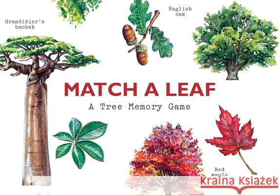 Match a Leaf: A Tree Memory Game Tony Kirkham Holly Exley 9781786272287 Laurence King - książka