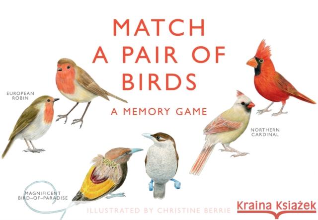 Match a Pair of Birds: A Memory Game Berrie, Christine 9781856699662 Laurence King - książka