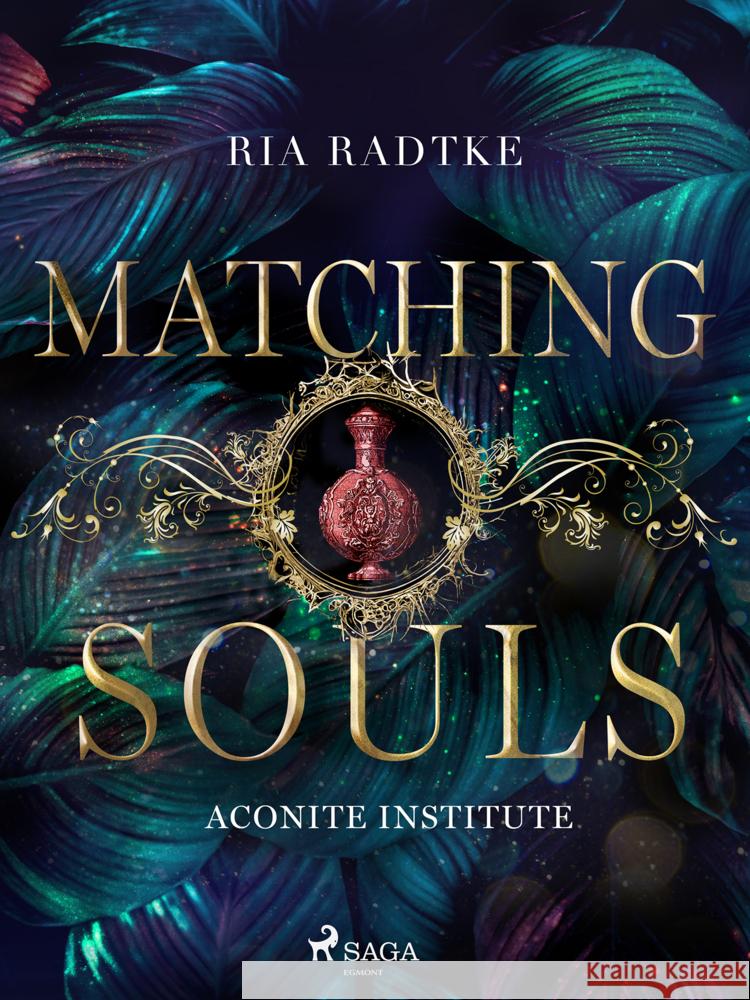 Matching Souls Radtke, Ria 9783987500411 SAGA Egmont - książka