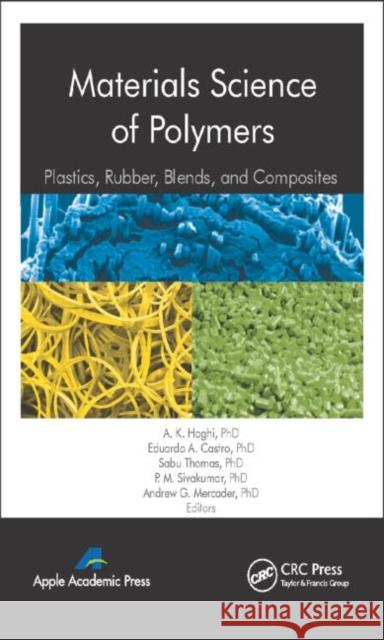 Materials Science of Polymers: Plastics, Rubber, Blends and Composites Haghi, A. K. 9781771880664 Apple Academic Press - książka