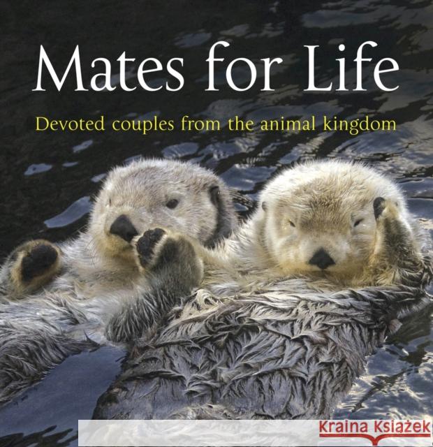 Mates for Life: Devoted Couples from the Animal Kingdom Lewis, George 9781907708022  - książka