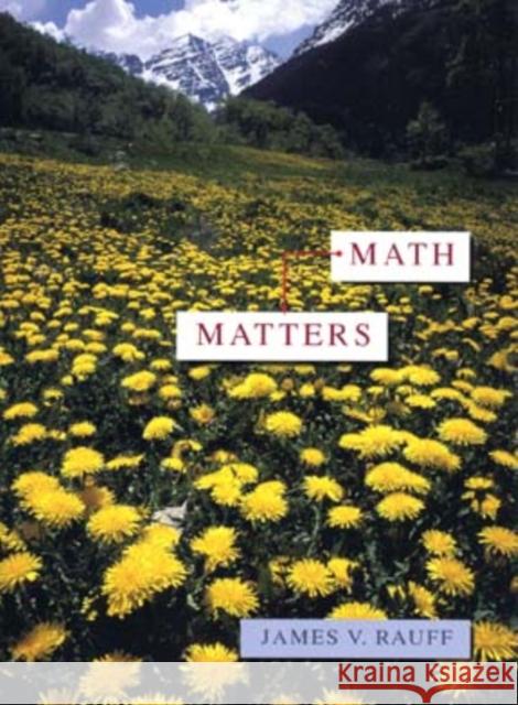 Math Matters James V. Rauff Rauff 9780471304524 John Wiley & Sons - książka