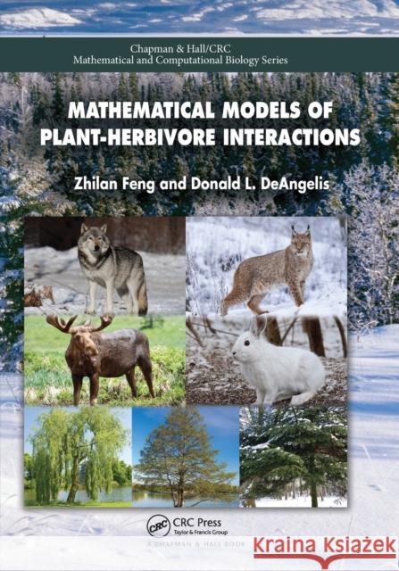 Mathematical Models of Plant-Herbivore Interactions Zhilan Feng Donald Deangelis 9780367782054 CRC Press - książka