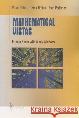 Mathematical Vistas: From a Room with Many Windows Hilton, Peter 9781441928672 Not Avail - książka