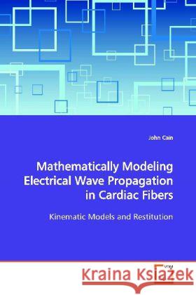 Mathematically Modeling Electrical Wave Propagation in Cardiac Fibers : Kinematic Models and Restitution Cain, John 9783639119817 VDM Verlag Dr. Müller - książka