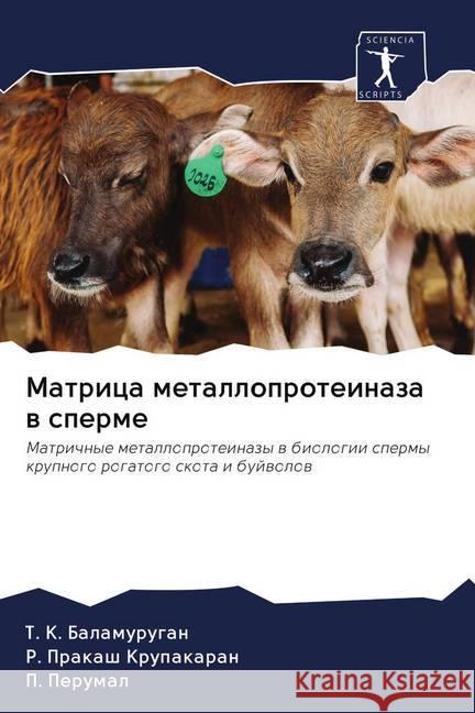 Matrica metalloproteinaza w sperme Balamurugan, T. K.; Prakash Krupakaran, R.; Perumal, P. 9786202653282 Sciencia Scripts - książka