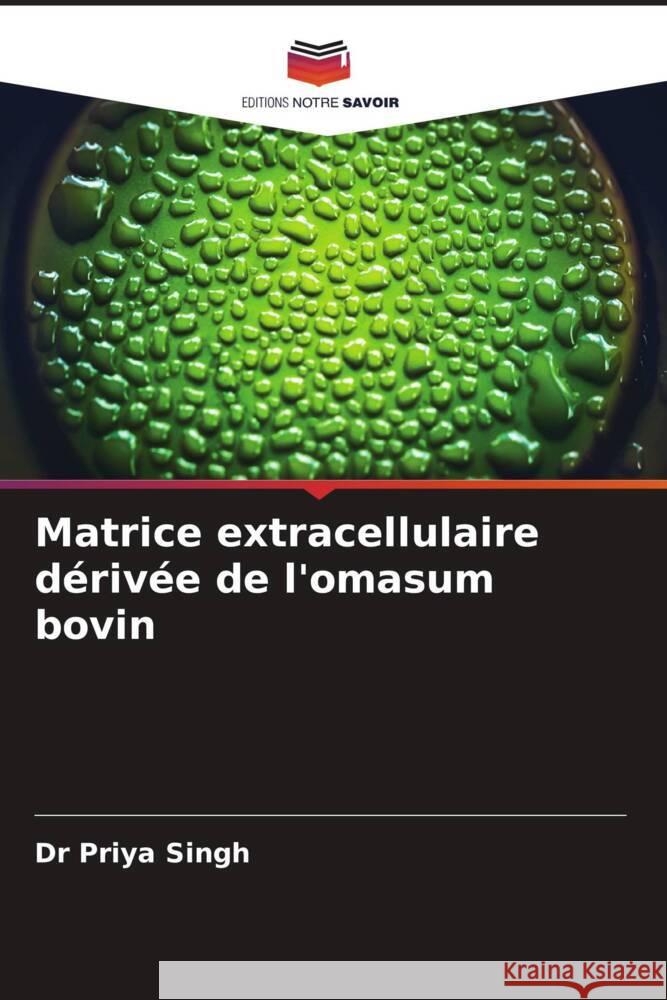 Matrice extracellulaire dérivée de l'omasum bovin Singh, Dr Priya 9786204877303 Editions Notre Savoir - książka