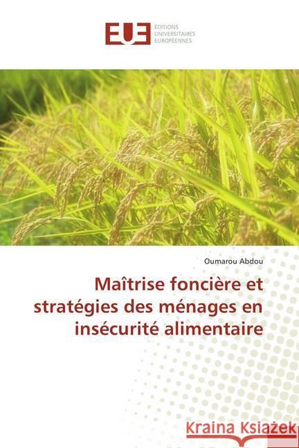 Maîtrise foncière et stratégies des ménages en insécurité alimentaire Abdou, Oumarou 9786138423386 Éditions universitaires européennes - książka