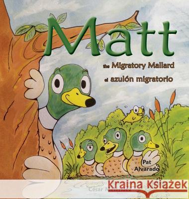 Matt: The Migratory Mallard * el azulón migratorio Pat Alvarado, Meléndez César, Alvarado Teófilo 9789962570271 Piggy Press Books - książka