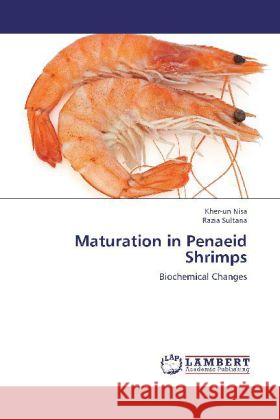 Maturation in Penaeid Shrimps : Biochemical Changes Nisa, Kher-un; Sultana, Razia 9783659223792 LAP Lambert Academic Publishing - książka